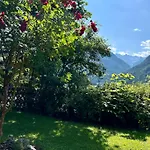 Wolf Retreat Im Lechtal Davor Appartementhaus Michaela バッハ