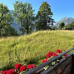 Wolf Retreat Im Lechtal Davor Appartementhaus Michaela バッハ