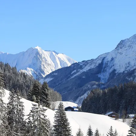 Appartementhaus Michaela Апартаменты *