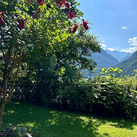 Wolf Retreat Im Lechtal Davor Appartementhaus Michaela 巴赫