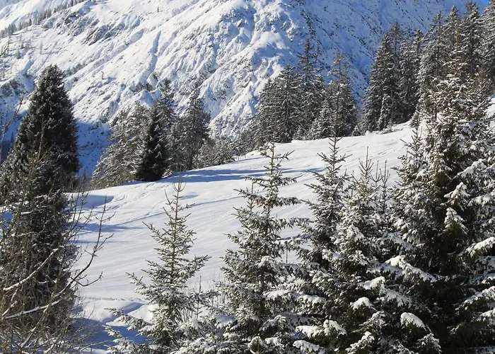 Apartmán Appartementhaus Michaela