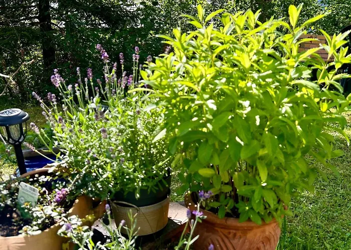 Appartementhaus Michaela Apartmán *