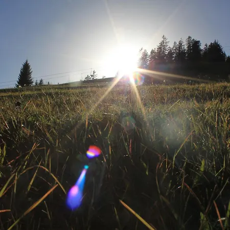 Appartementhaus Michaela *